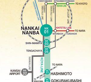 Koyasan World Heritage Ticket (depuis Osaka-Namba)