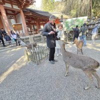 Accompagnement Keikaku Japon mars 2026 - 1