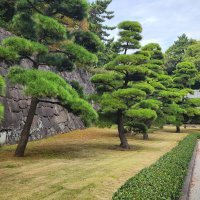 Accompagnement Keikaku Japon novembre 2025 - 1