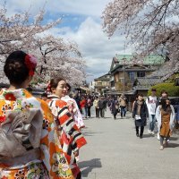 Accompagnement Keikaku Japon mai 2019 - 2