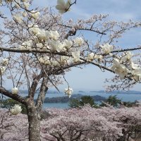 Accompagnement Keikaku Japon mai 2019 - 3