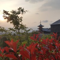 Accompagnement Keikaku Japon mai 2019 - 1