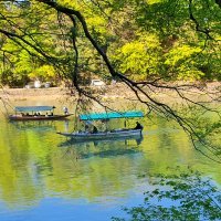 Accompagnement Keikaku Japon mai 2023 - 1