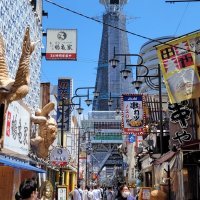 Accompagnement Keikaku Japon novembre 2023 - 1