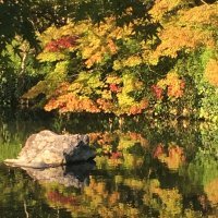 Accompagnement Keikaku Japon novembre 2018 - 1