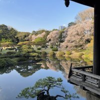 Accompagnement Keikaku Japon mai 2023 - 1