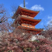 Accompagnement Keikaku Japon décembre 2025 - 2