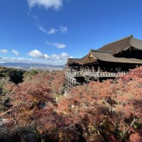 Accompagnement Keikaku Japon décembre 2025 - 1