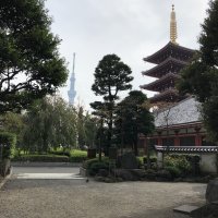 Accompagnement Keikaku Japon novembre 2018 - 1