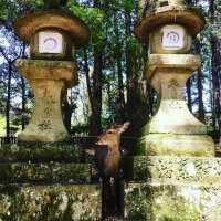 Accompagnement Keikaku Japon mai 2019 - 2