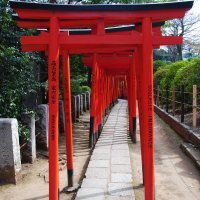 Accompagnement Keikaku Japon avril 2019 - 1