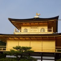 Accompagnement Keikaku Japon avril 2019 - 2