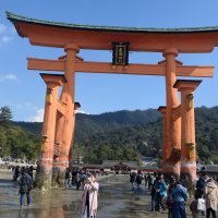 Accompagnement Keikaku Japon avril 2019 - 3