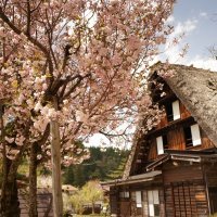 Accompagnement Keikaku Japon mai 2023 - 1