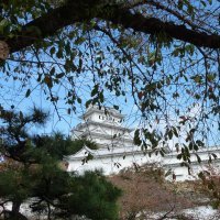 Accompagnement Keikaku Japon novembre 2018 - 2