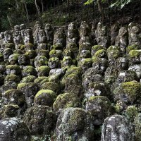 Accompagnement Keikaku Japon novembre 2025 - 1