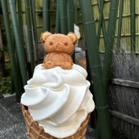 Accompagnement Keikaku Japon novembre 2025 - 2