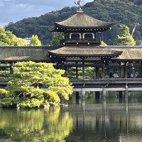 Accompagnement Keikaku Japon novembre 2025 - 2