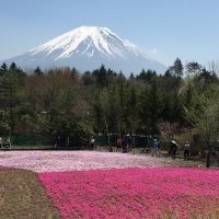 Accompagnement Keikaku Japon mai 2018 - 1
