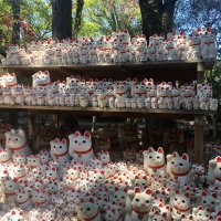 Accompagnement Keikaku Japon mai 2019 - 3