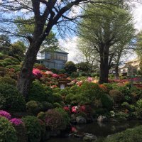 Accompagnement Keikaku Japon mai 2019 - 1