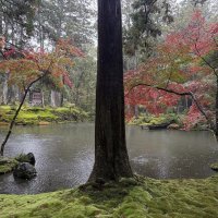 Accompagnement Keikaku Japon novembre 2025 - 2