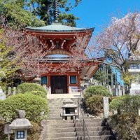 Accompagnement Keikaku Japon mai 2023 - 1