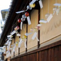 Accompagnement Keikaku Japon août 2026 - 2